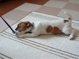 Pet Bitter Anti-Chew Spray