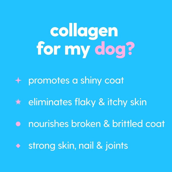 Pet Collagen Powder Supplement