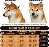 Protective Dog Helmet & Goggles Set