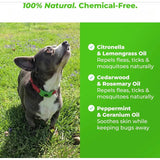 Waterproof Chemical-Free Tick Repellent Tag