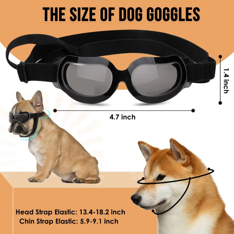 Protective Dog Helmet & Goggles Set