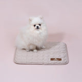Portable Pet Cooling Mat – No Gel, No Freeze, Just Instant Relief