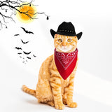 Western Pet Cowboy Hat & Bandana Costume Set