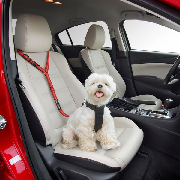 Adjustable Car Headrest Dog Leash – 2-in-1 Safety Harness & Travel Restraint