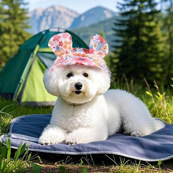 Bunny Ear Pet Sun Hat