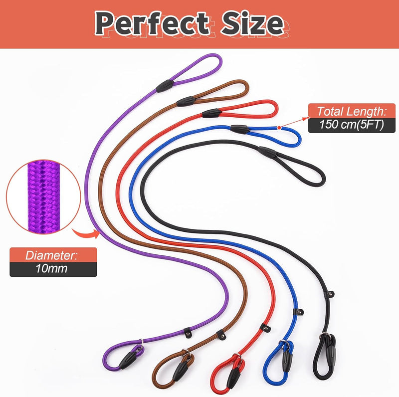 5pcs Slip Lead Dog Leash