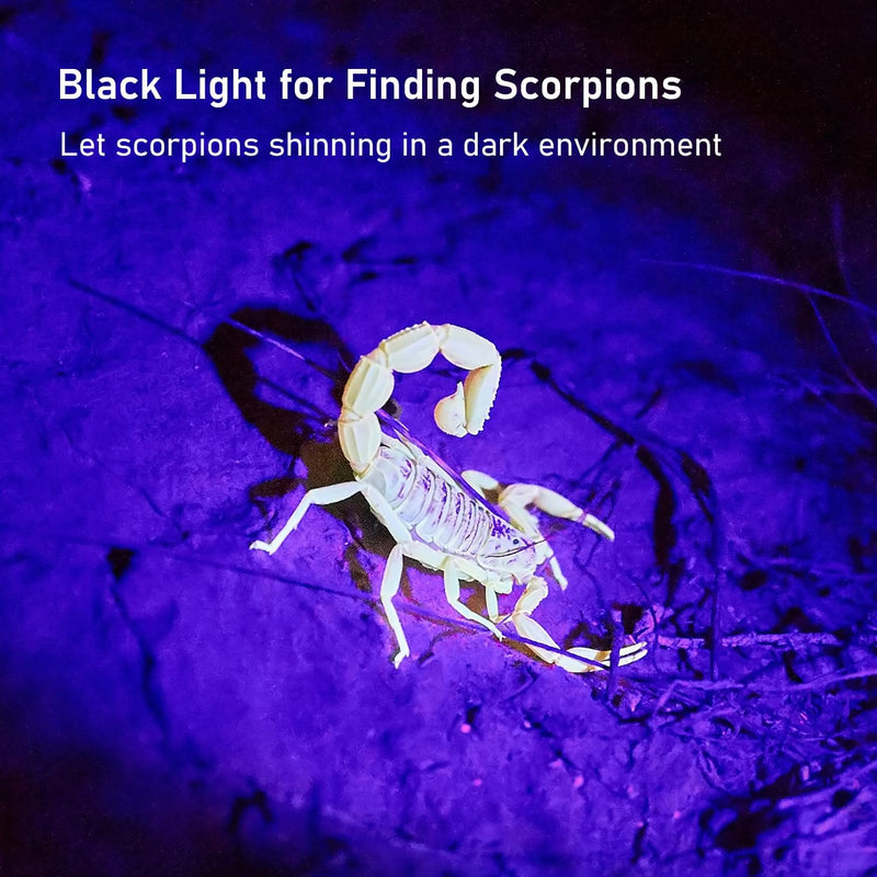 Ultraviolet Flashlight Black Light Urine Detector for Dog/Cat Urine