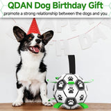 Interactive Floating Dog Soccer Ball