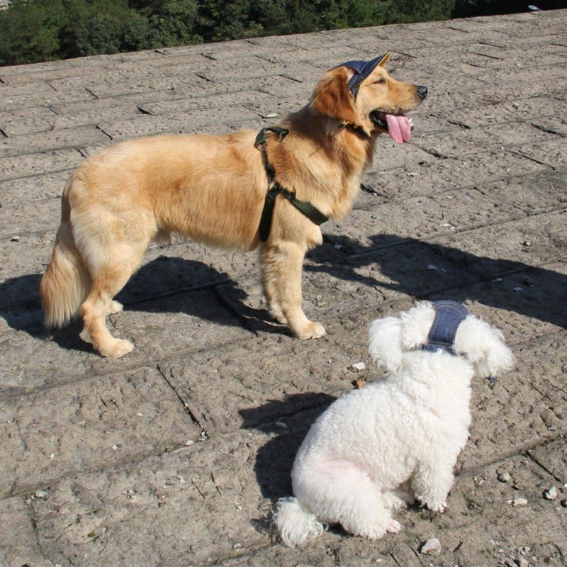 Adjustable Denim Dog Cap
