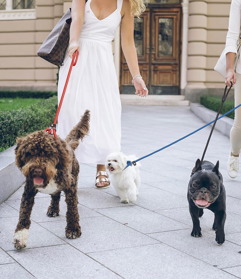 5pcs Slip Lead Dog Leash