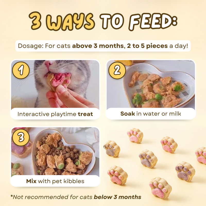 Paw Cat Treats (10 PCS)