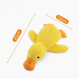 Calming Duck