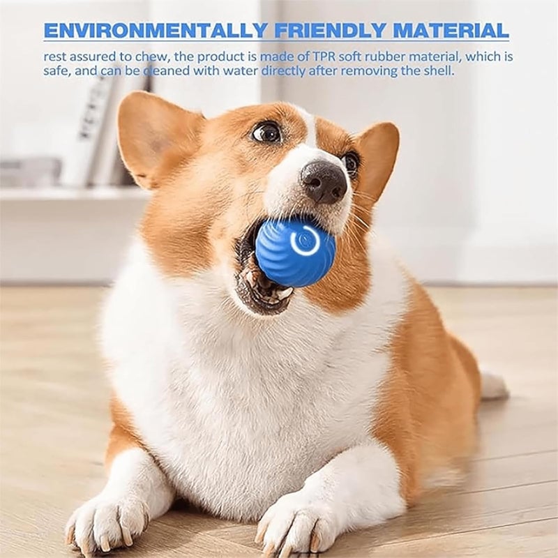 ✨Last Day Promotio🎁Dog Toy Ball 💥BUY 2 FREE SHIPPING