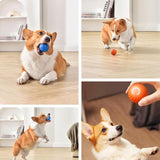 ✨Last Day Promotio🎁Dog Toy Ball 💥BUY 2 FREE SHIPPING