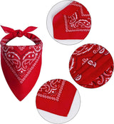Western Pet Cowboy Hat & Bandana Costume Set