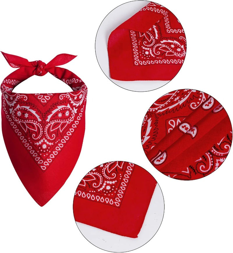 Western Pet Cowboy Hat & Bandana Costume Set