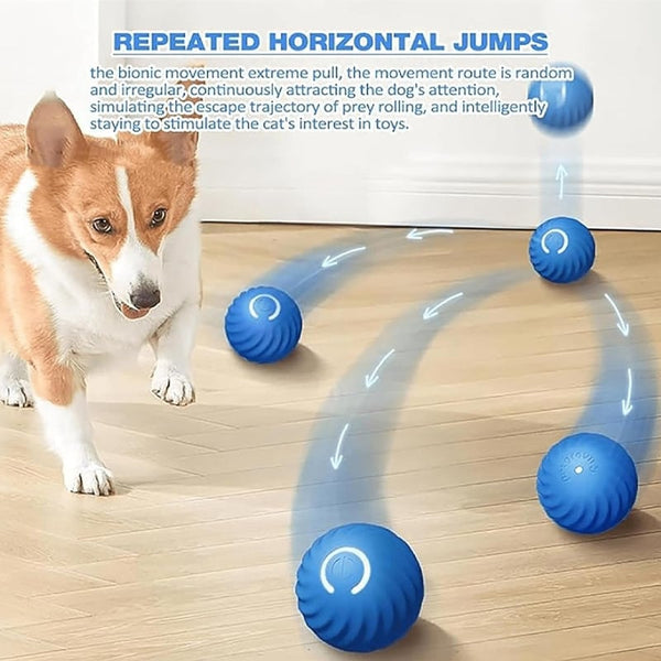 ✨Last Day Promotio🎁Dog Toy Ball 💥BUY 2 FREE SHIPPING
