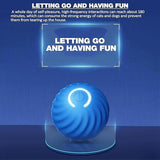 ✨Last Day Promotio🎁Dog Toy Ball 💥BUY 2 FREE SHIPPING